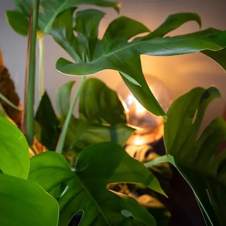 Aparthotel Boutique 4*