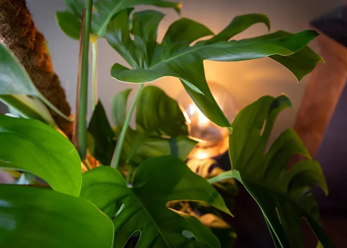 Lejlighedshotel Boutique 4*